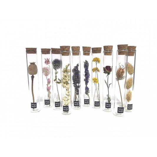 Tube Dried Flowers - 15 CM