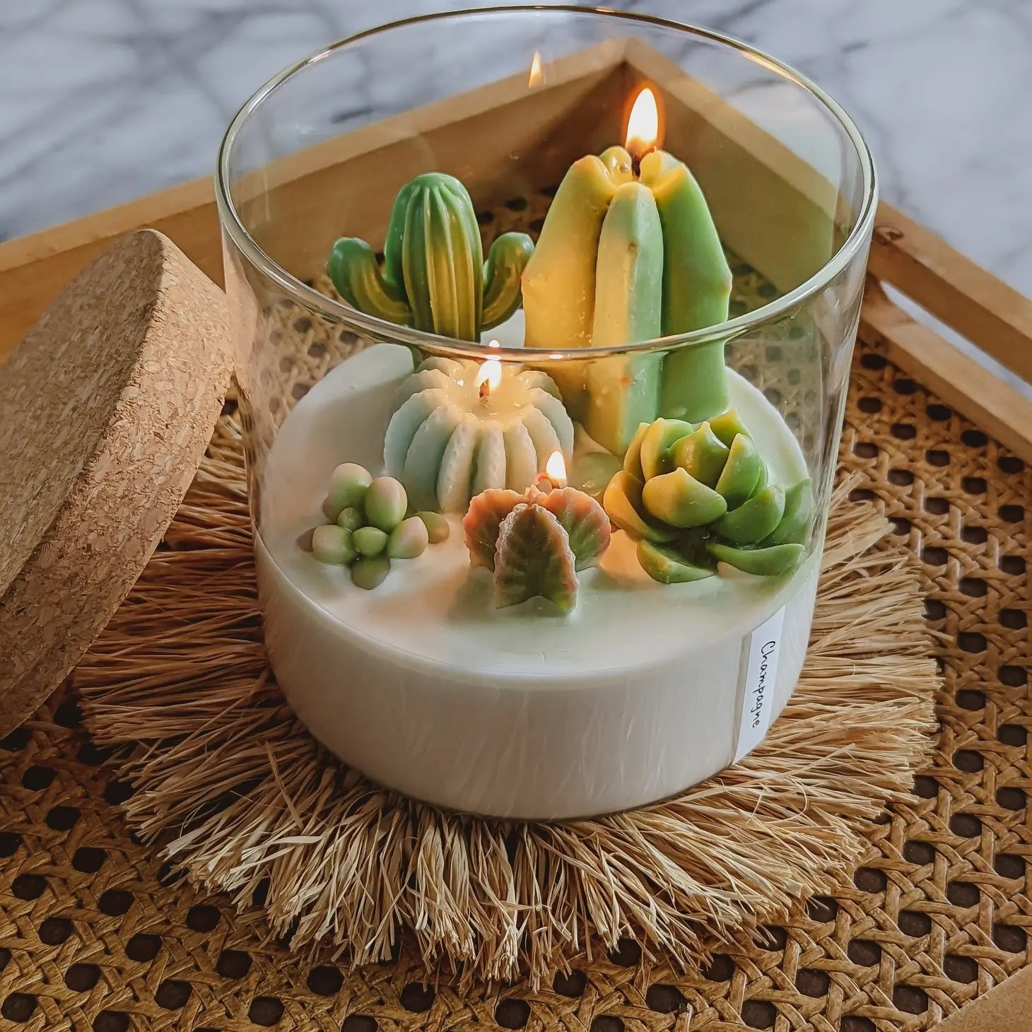 succulent candle holder Cactus & Succulent 3-wick Terrarium Candle