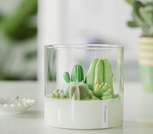 Cactus & Succulent 3-wick Terrarium Candle - Sunday